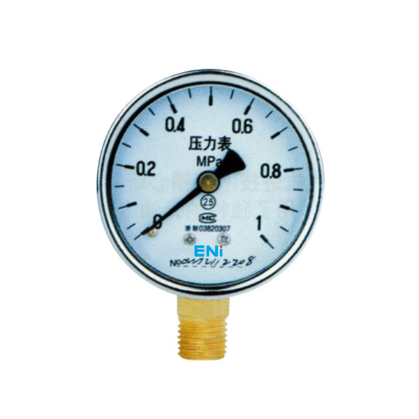 Y series common pressure gauges