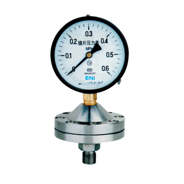 YPF series diaphragm Pressure gauge