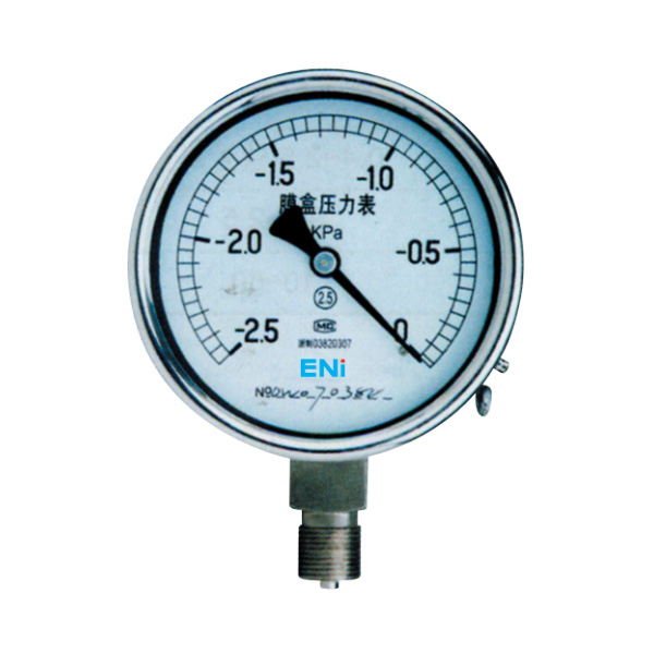 YE series stainless steel capsule pressure gauge