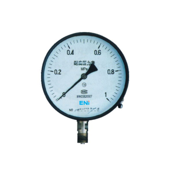 YT series special pressure gauge