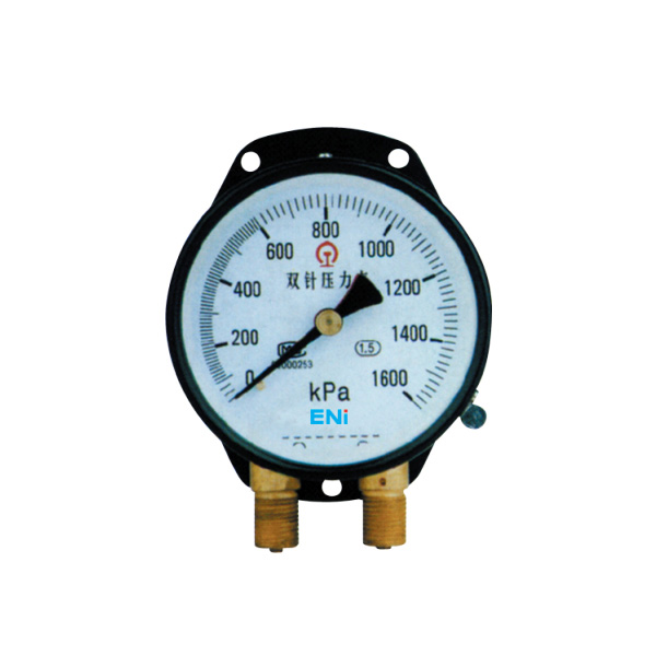 YZS-102 dual needle pressure gauge